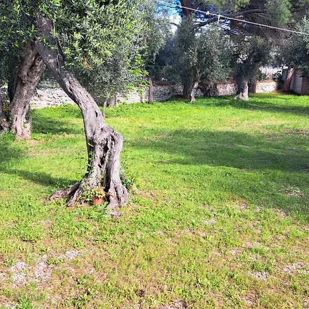 Il Boschetto Vilă *