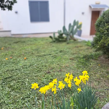 Villa Il Boschetto *