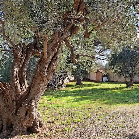 Villa Il Boschetto *