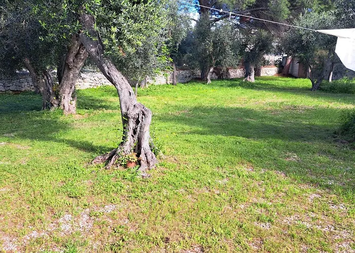 Il Boschetto Βίλα *