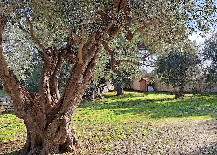 Βίλα Il Boschetto *